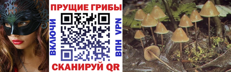 Псилоцибиновые грибы Psilocybine cubensis  цена наркотик  Аша 